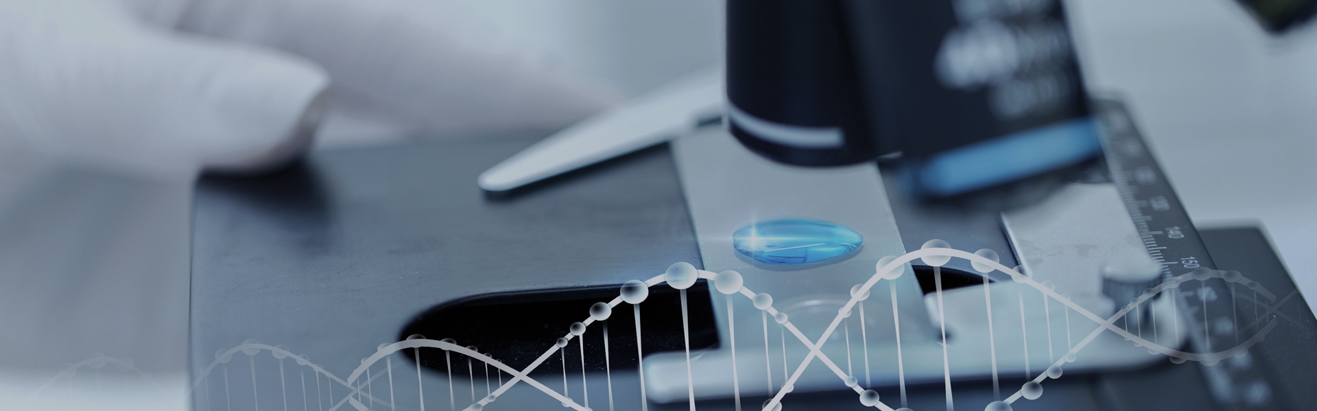 关于九游会官网